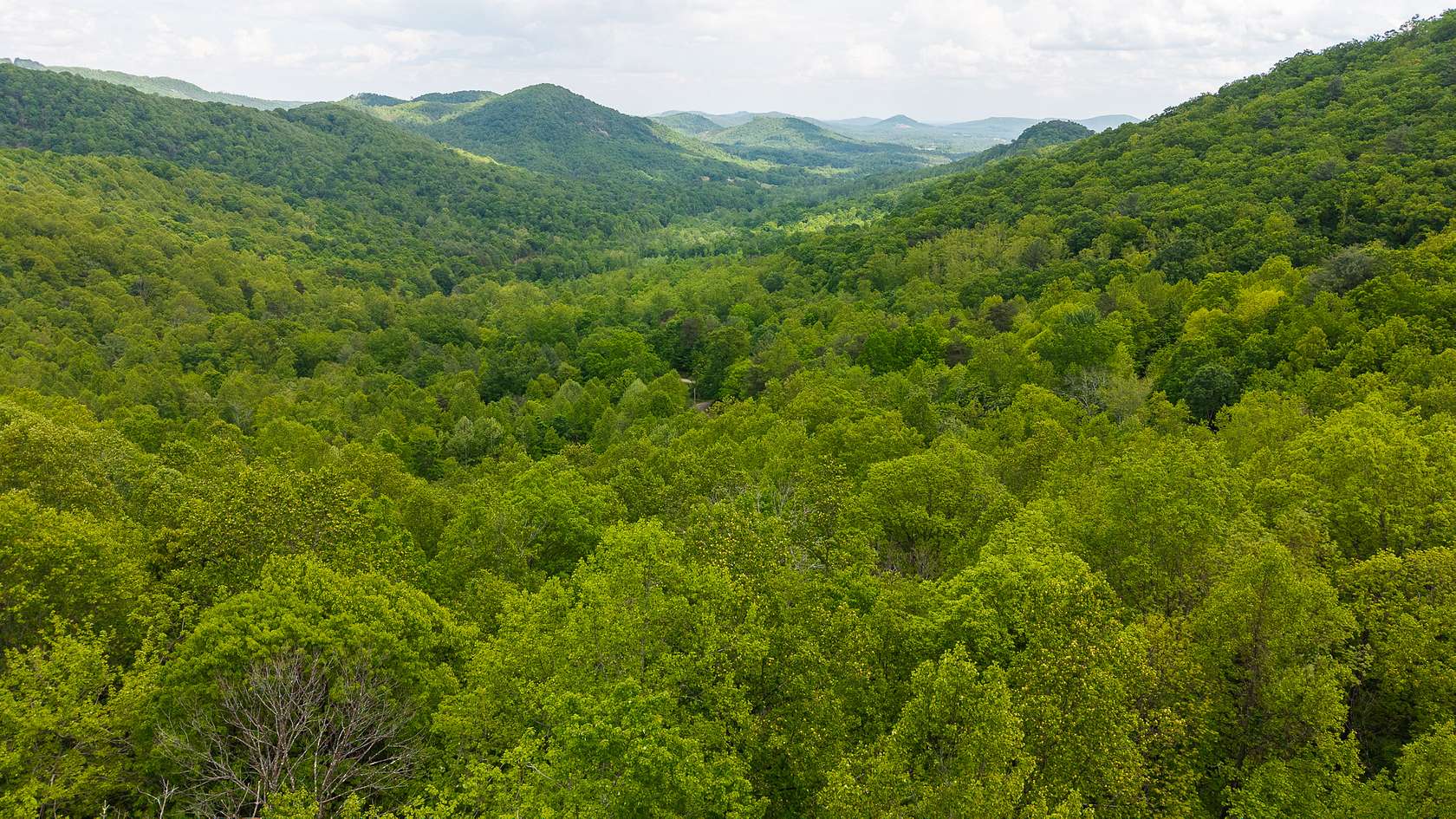 35.4 Acres of Land for Sale in Moravian Falls, North Carolina