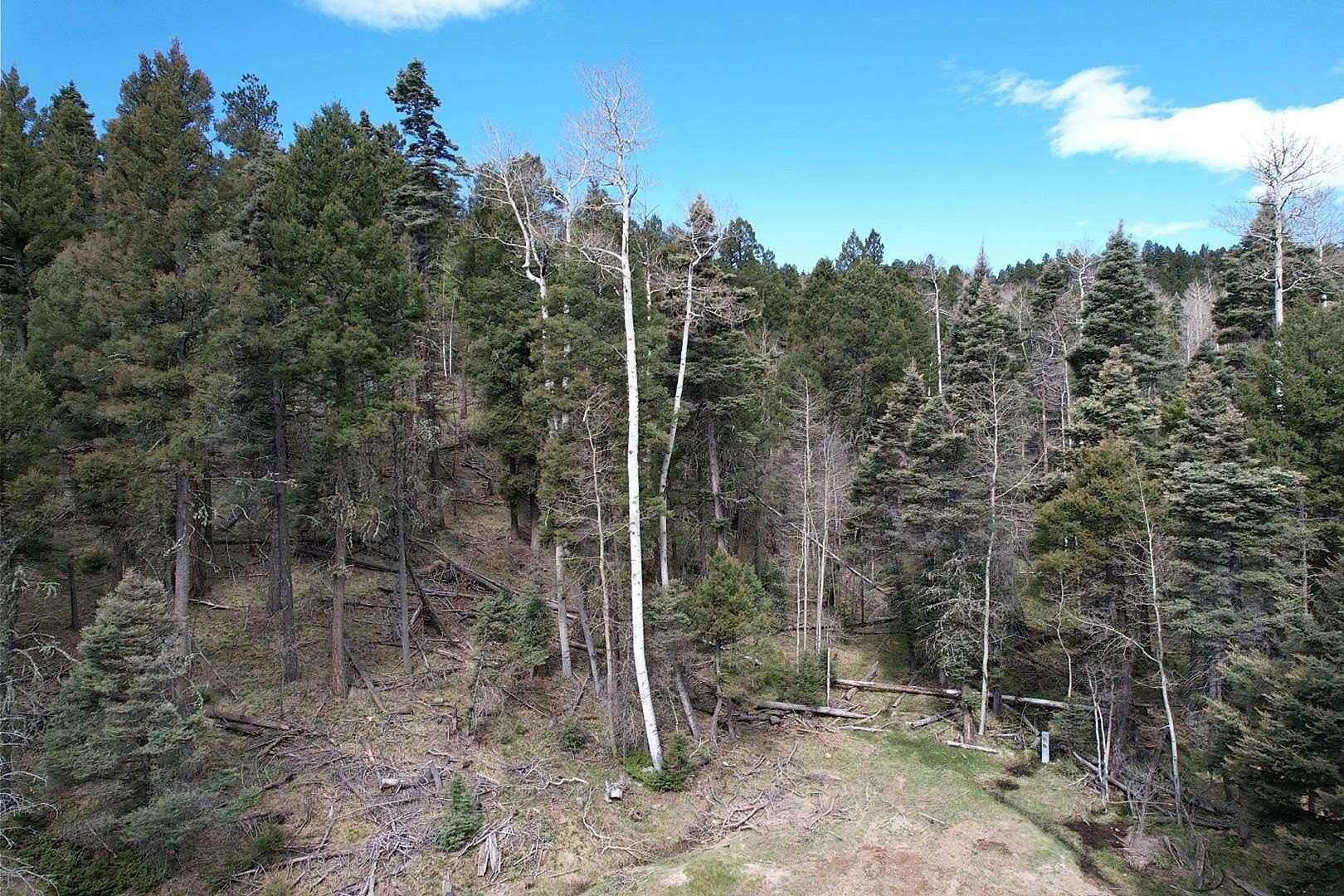 0.72 Acres of Land for Sale in Angel Fire, New Mexico