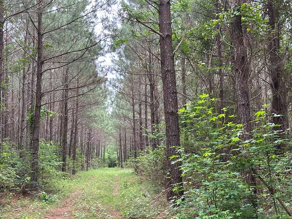 107 Acres of Land for Sale in Lufkin, Texas