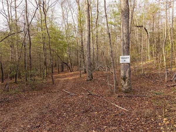 11.8 Acres of Land for Sale in Ellijay, Georgia