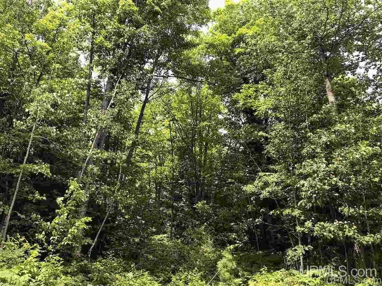 1 Acre of Residential Land for Sale in Gwinn, Michigan