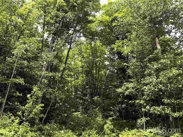 1 Acre of Residential Land for Sale in Gwinn, Michigan