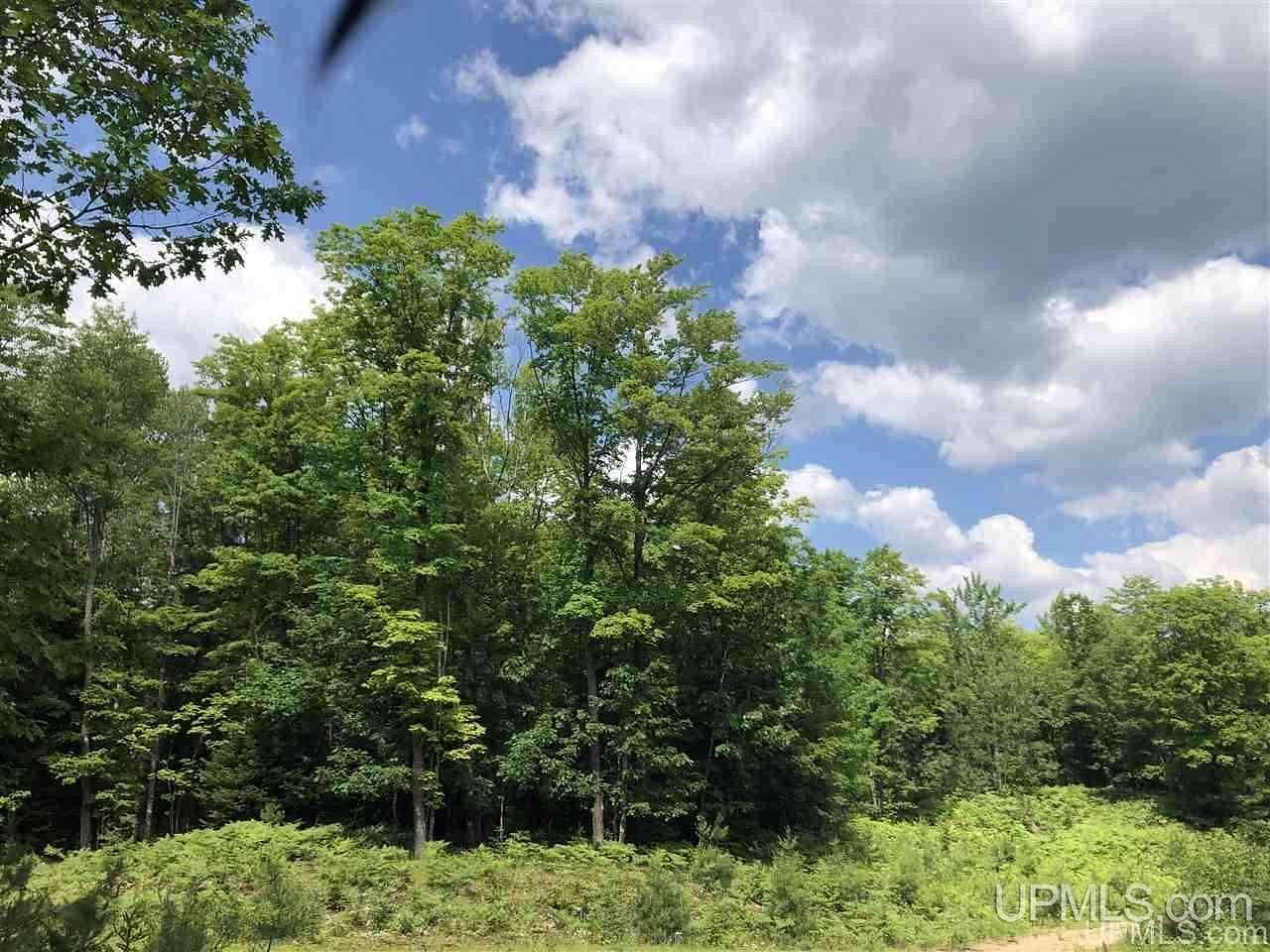 1 Acre of Residential Land for Sale in Gwinn, Michigan