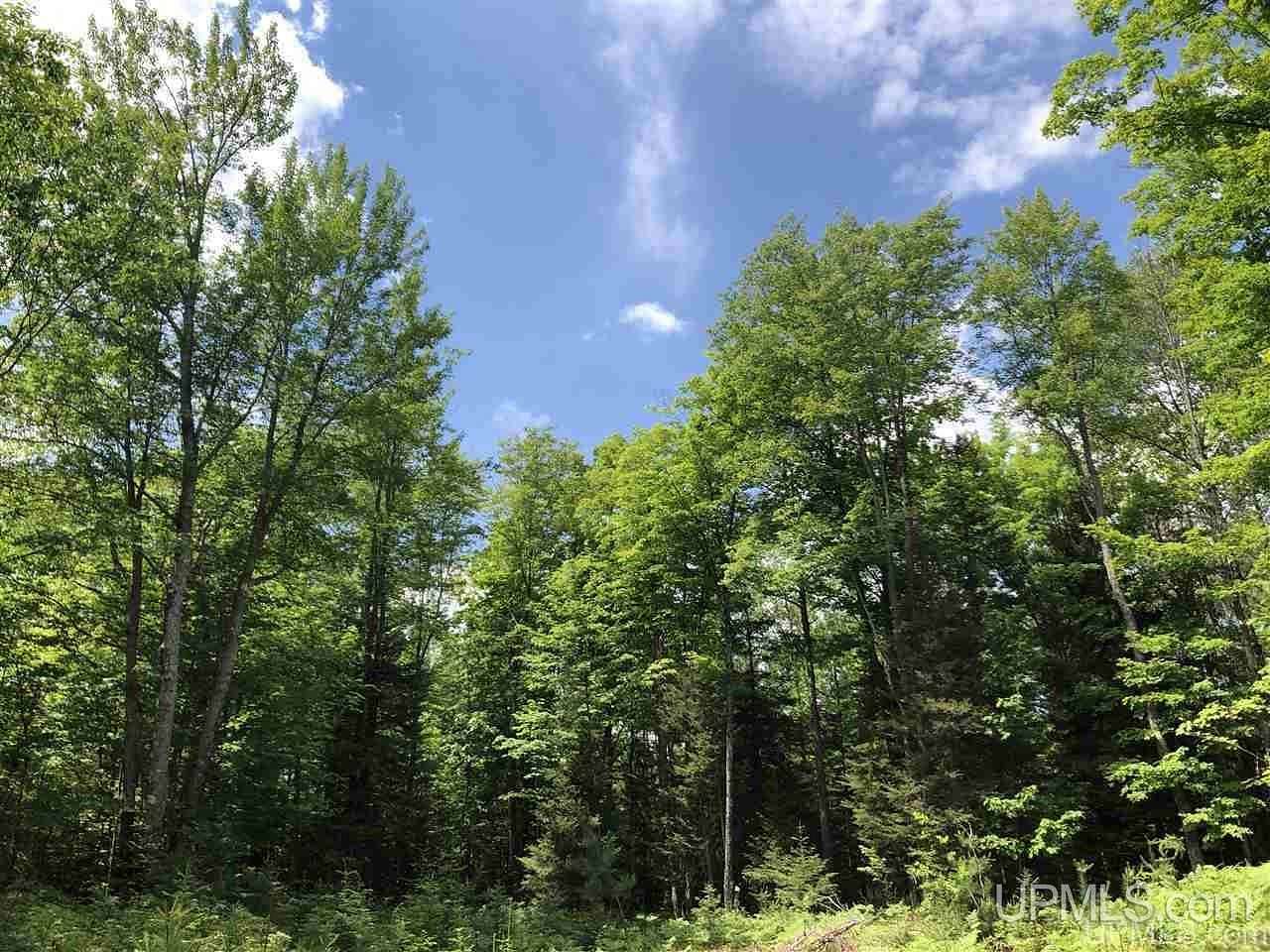 1 Acre of Residential Land for Sale in Gwinn, Michigan