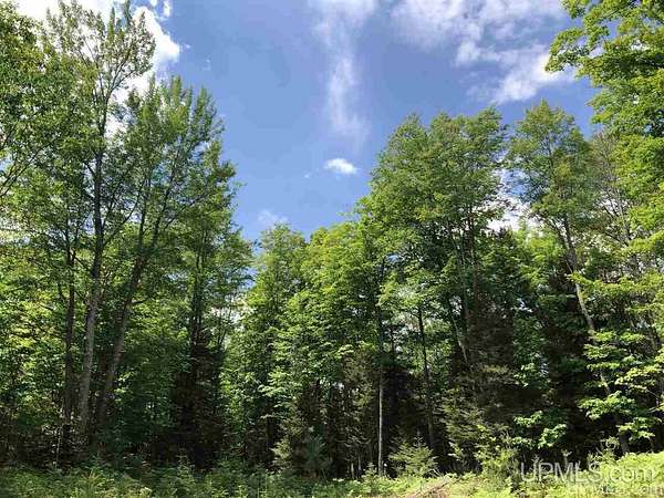 1 Acre of Residential Land for Sale in Gwinn, Michigan