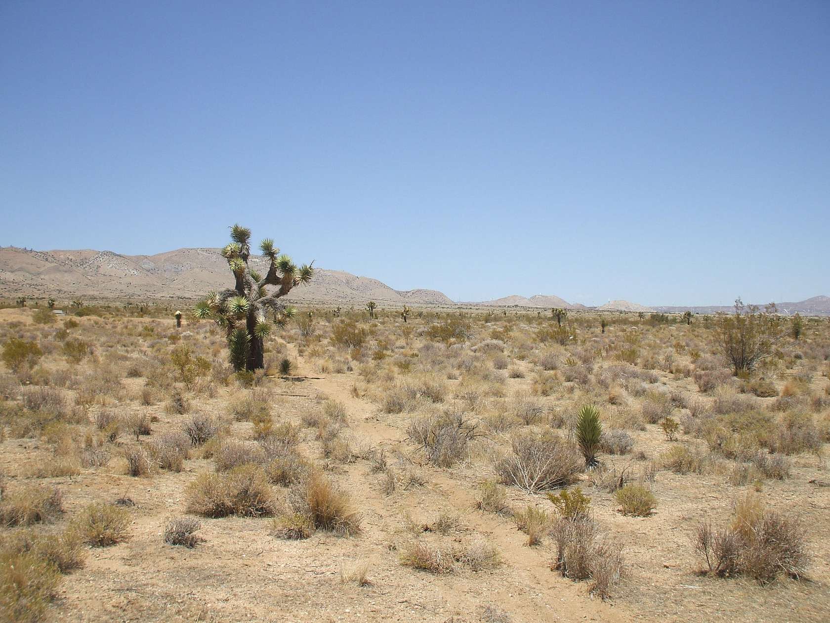 10 Acres of Land for Sale in Rosamond, California