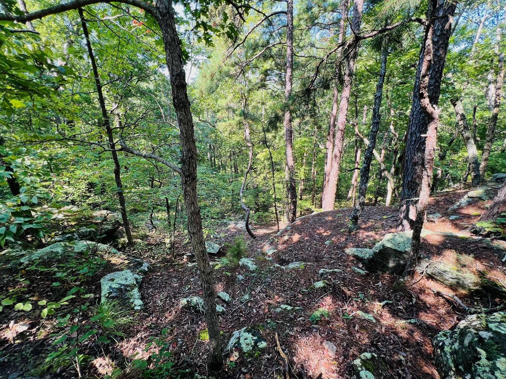 40.6 Acres of Recreational Land for Sale in Licking, Missouri