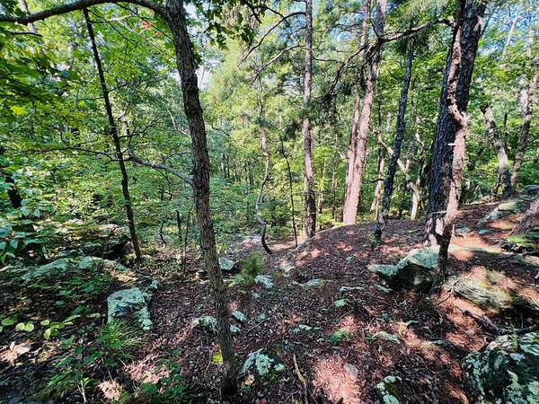 40.6 Acres of Recreational Land for Sale in Licking, Missouri