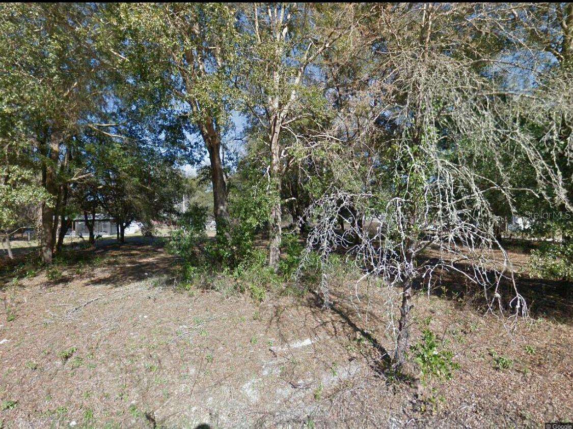 1 Acre of Residential Land for Sale in Fanning Springs, Florida