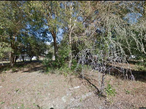 1 Acre of Residential Land for Sale in Fanning Springs, Florida