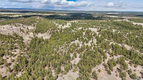 40 Acres of Recreational Land for Sale in Custer, South Dakota
