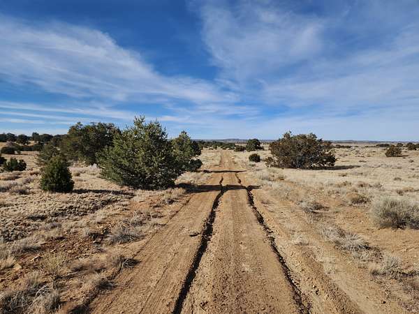 5.34 Acres of Land for Sale in Pinehill, New Mexico