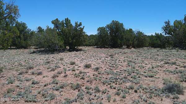 38.5 Acres of Land for Sale in Concho, Arizona
