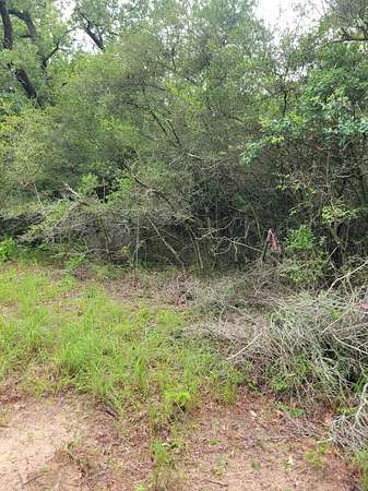 5 Acres of Residential Land for Sale in Centerville, Texas