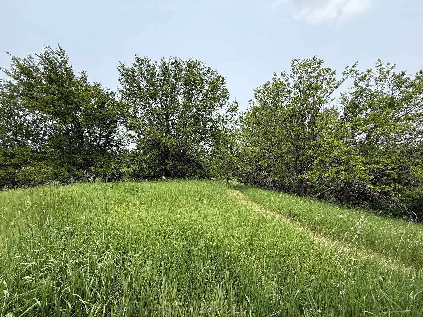 6 Acres of Residential Land for Sale in Mingo, Iowa