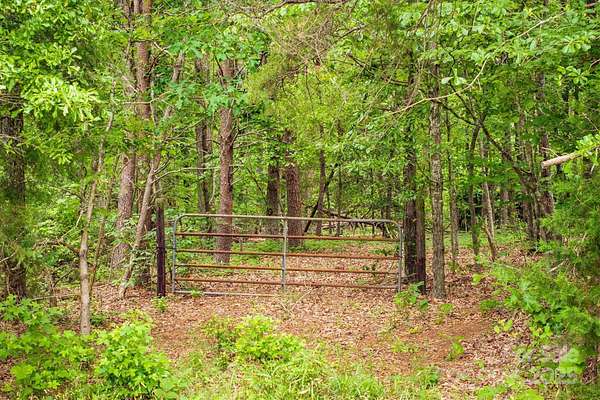 24.2 Acres of Land for Sale in Rutherfordton, North Carolina