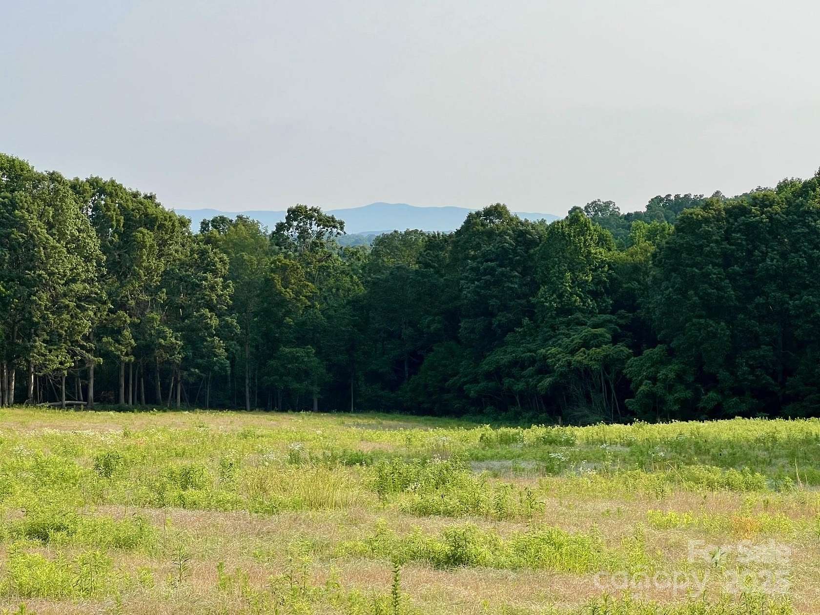 21 Acres of Recreational Land & Farm for Sale in Ellenboro, North Carolina