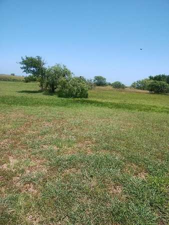 0.21 Acres of Residential Land for Sale in Palacios, Texas