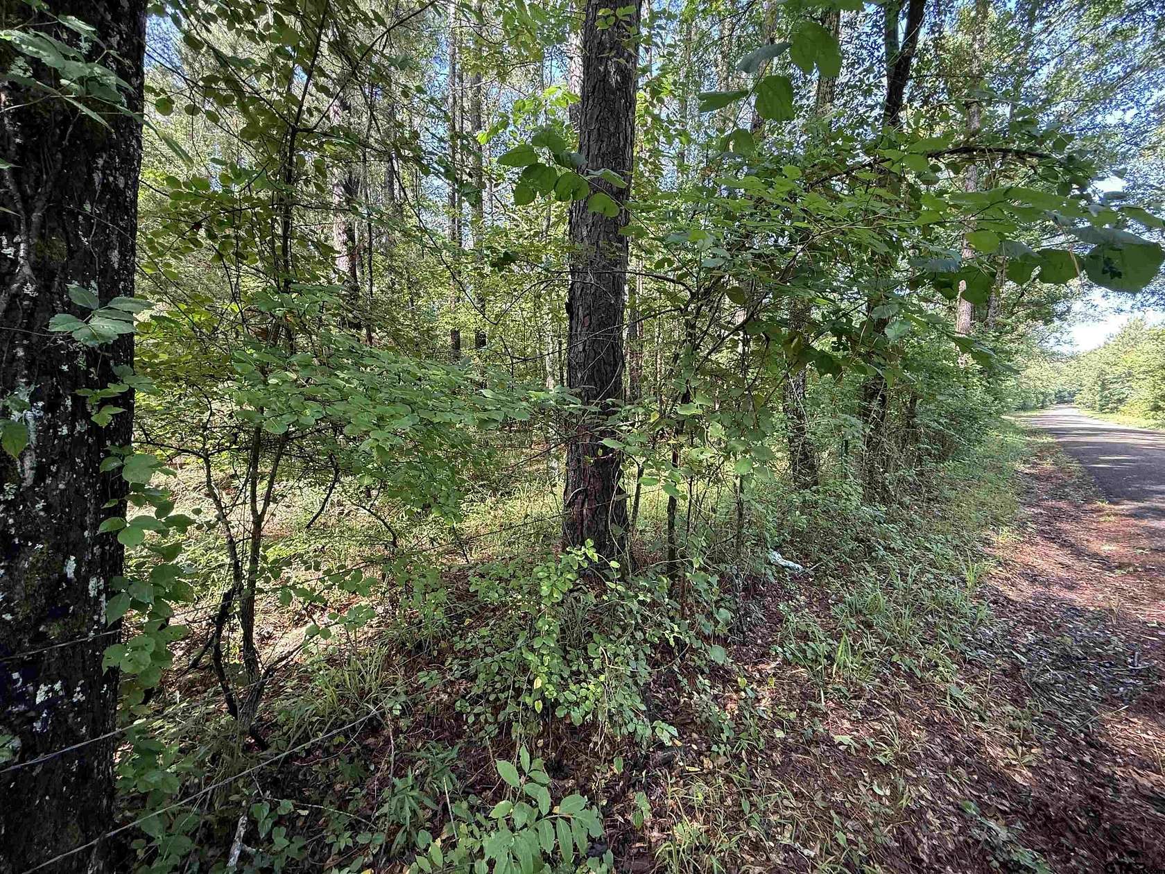 10 Acres of Agricultural Land for Sale in Henderson, Texas