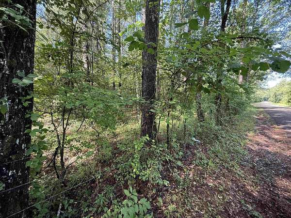 10 Acres of Agricultural Land for Sale in Henderson, Texas