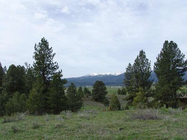 40.5 Acres of Recreational Land for Sale in Cascade, Idaho
