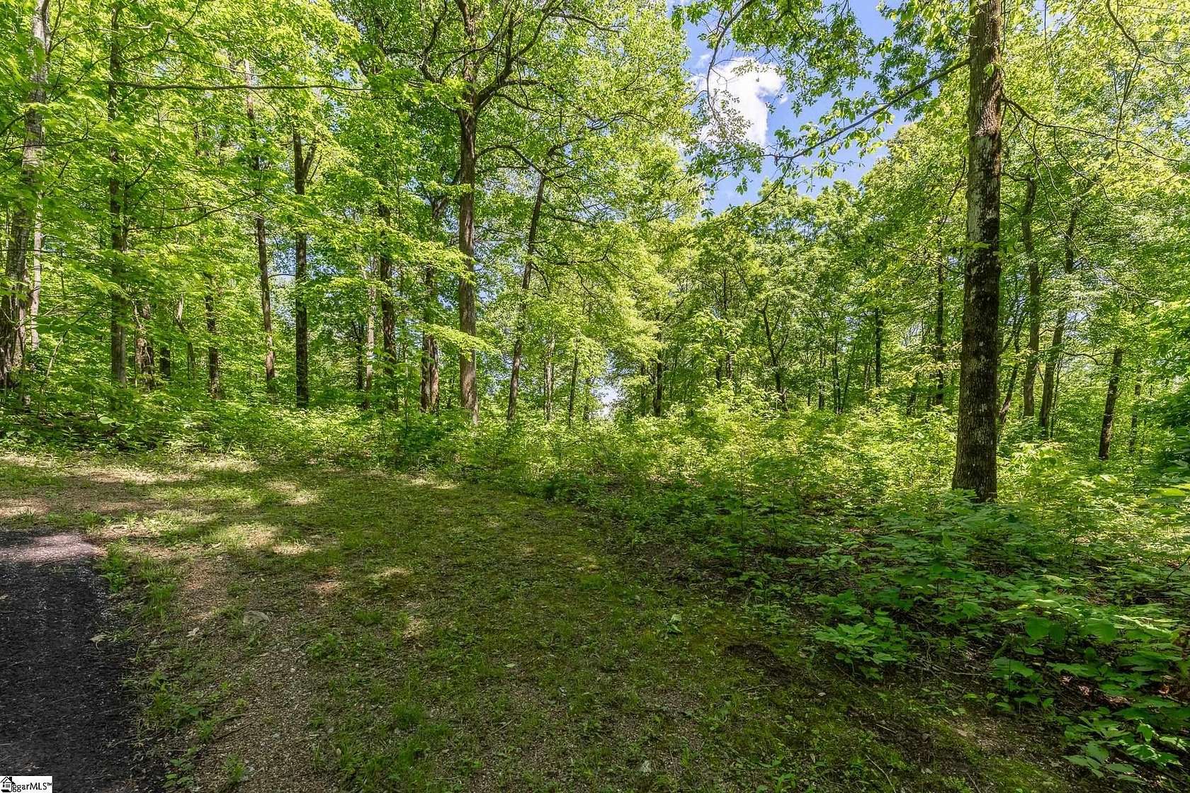 1 Acre of Residential Land for Sale in Landrum, South Carolina