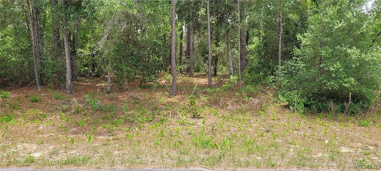 0.23 Acres of Residential Land for Sale in Citrus Springs, Florida