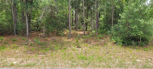 0.23 Acres of Residential Land for Sale in Citrus Springs, Florida