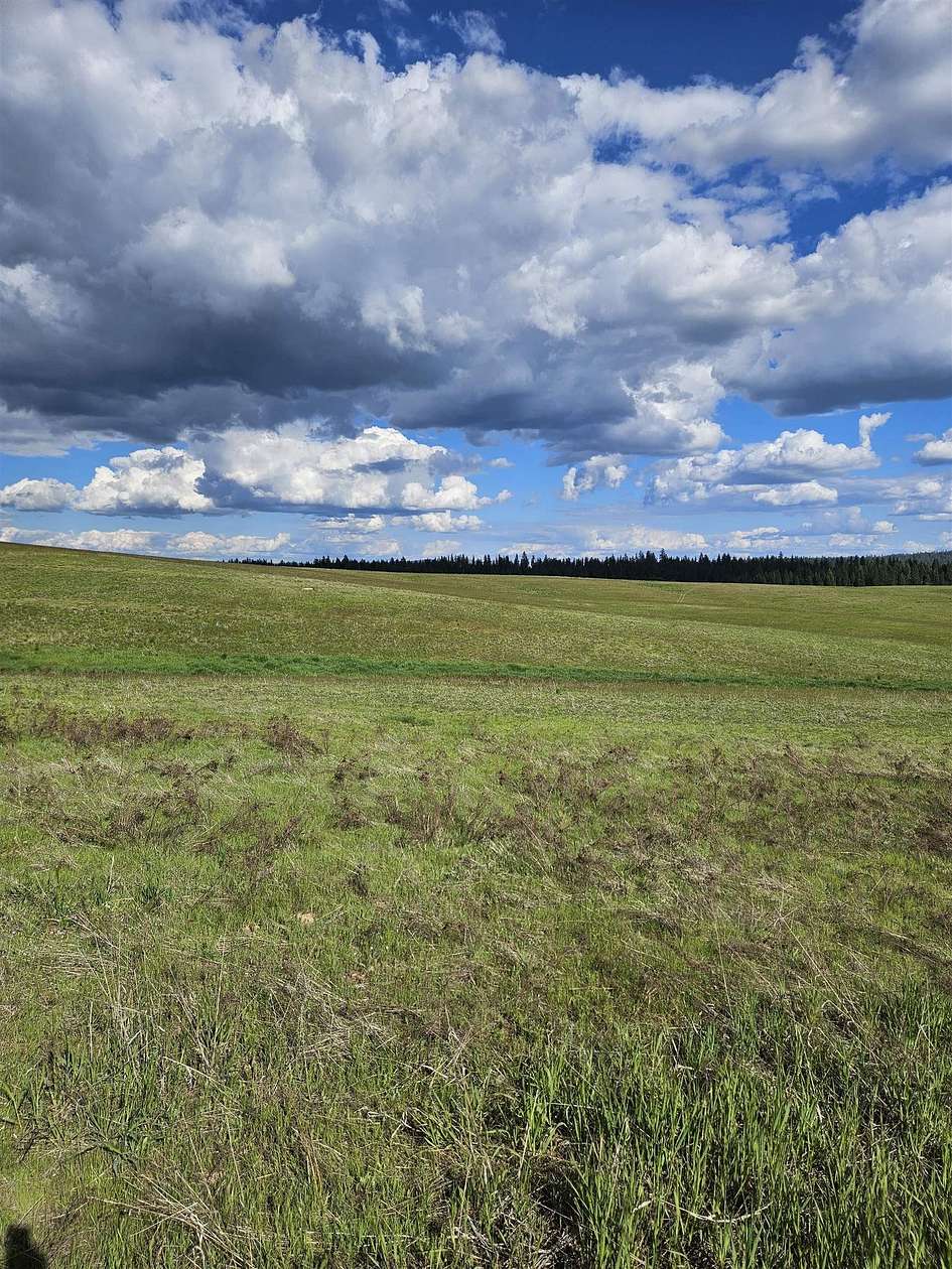 22 Acres of Land for Sale in Springdale, Washington