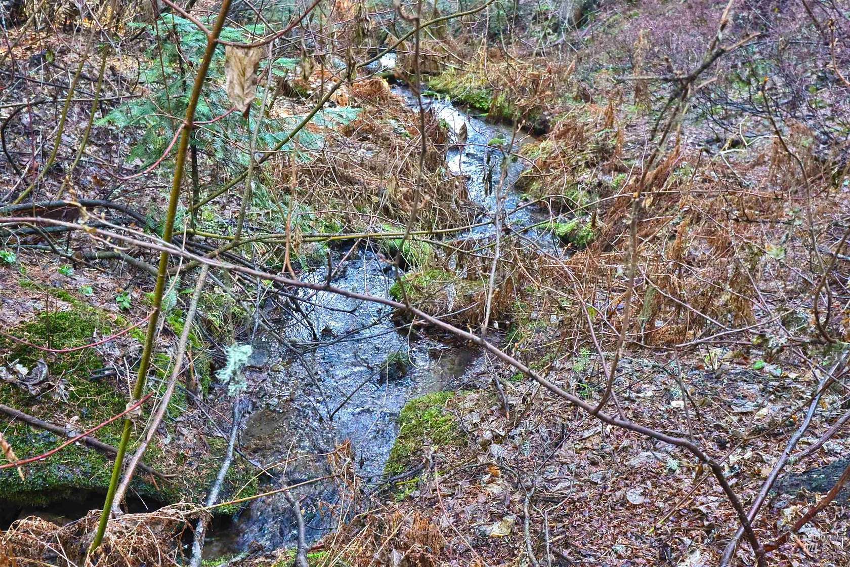 30.5 Acres of Recreational Land for Sale in Donnelly, Idaho