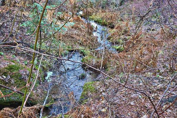 30.5 Acres of Recreational Land for Sale in Donnelly, Idaho