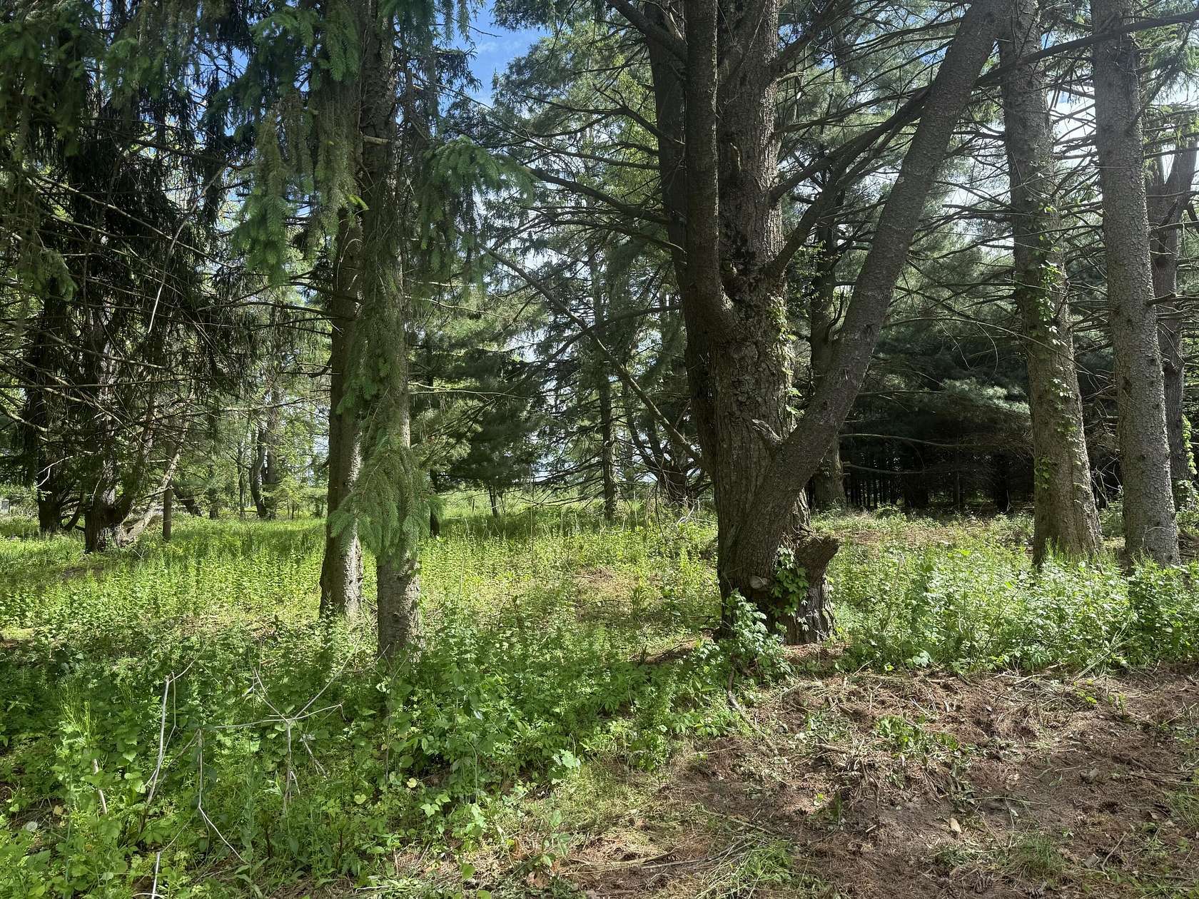 0.93 Acres of Land for Sale in Vicksburg, Michigan