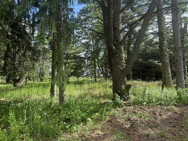 0.93 Acres of Land for Sale in Vicksburg, Michigan