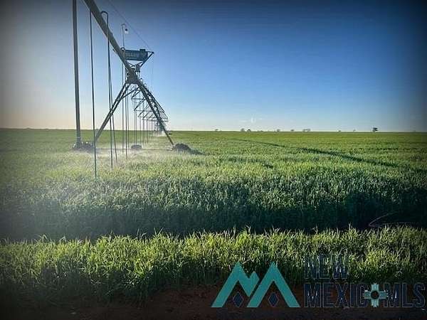 321 Acres of Agricultural Land for Sale in Portales, New Mexico