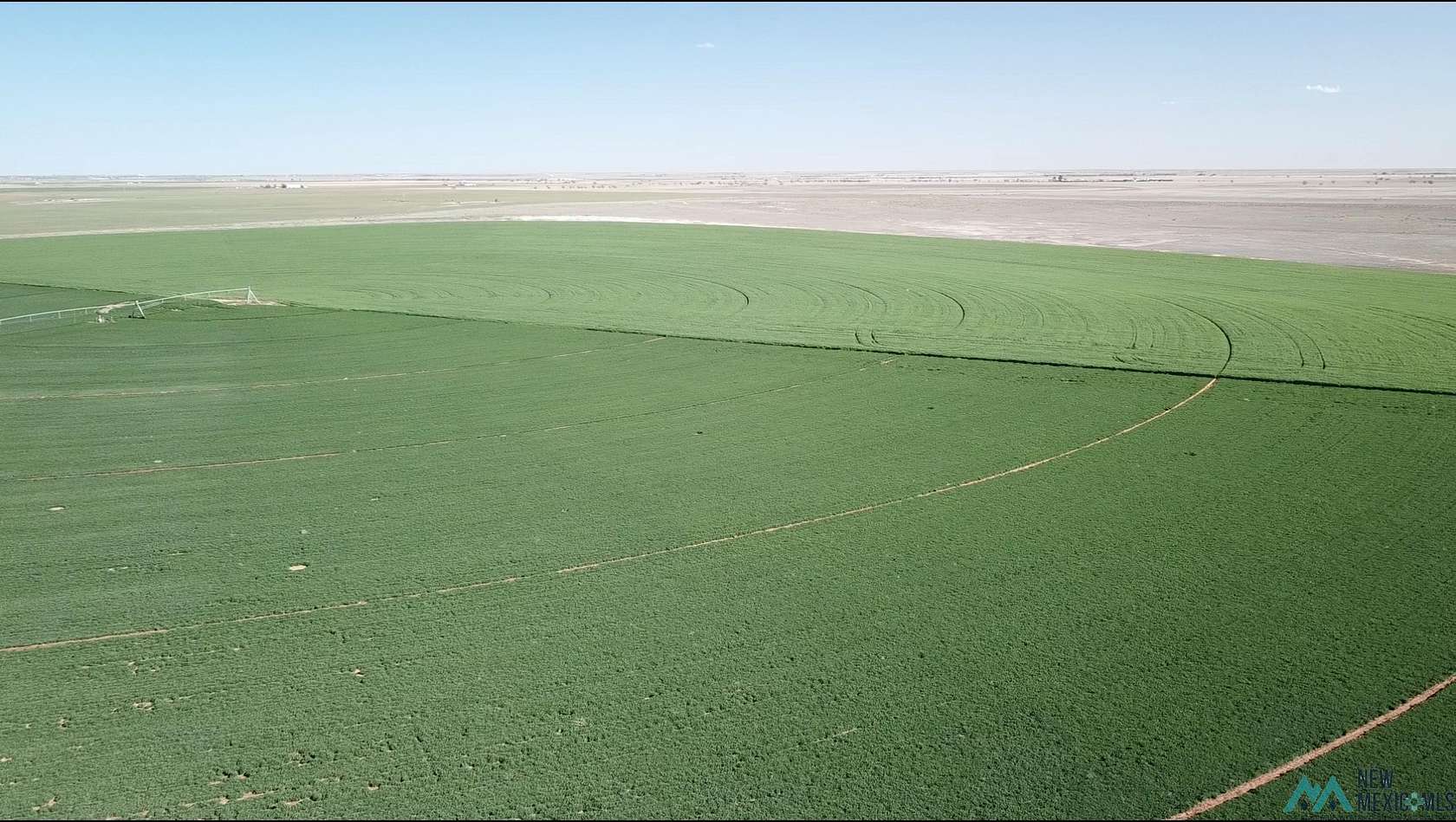 343 Acres of Agricultural Land for Sale in Portales, New Mexico