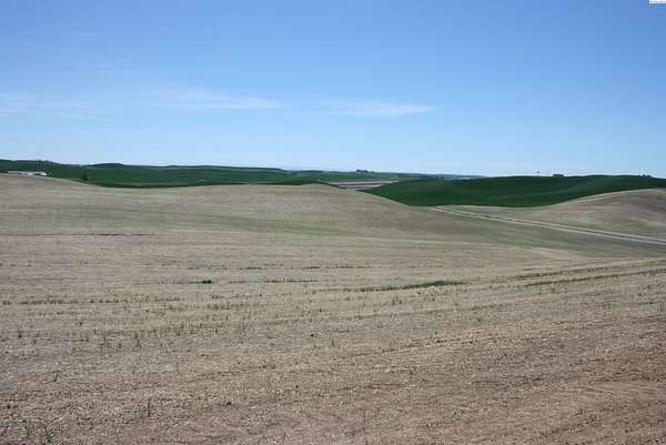 4.72 Acres of Residential Land for Sale in Pullman, Washington