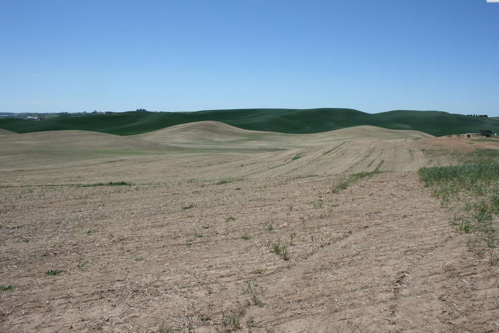 6 Acres of Residential Land for Sale in Pullman, Washington