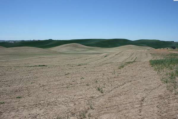 6 Acres of Residential Land for Sale in Pullman, Washington
