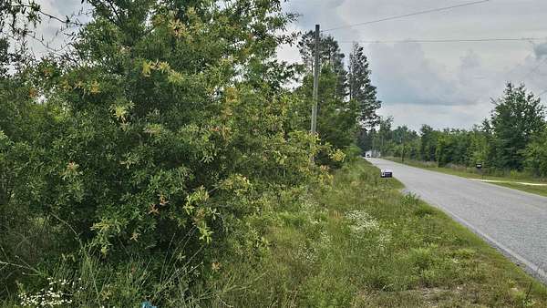 10 Acres of Agricultural Land for Sale in Lee, Florida