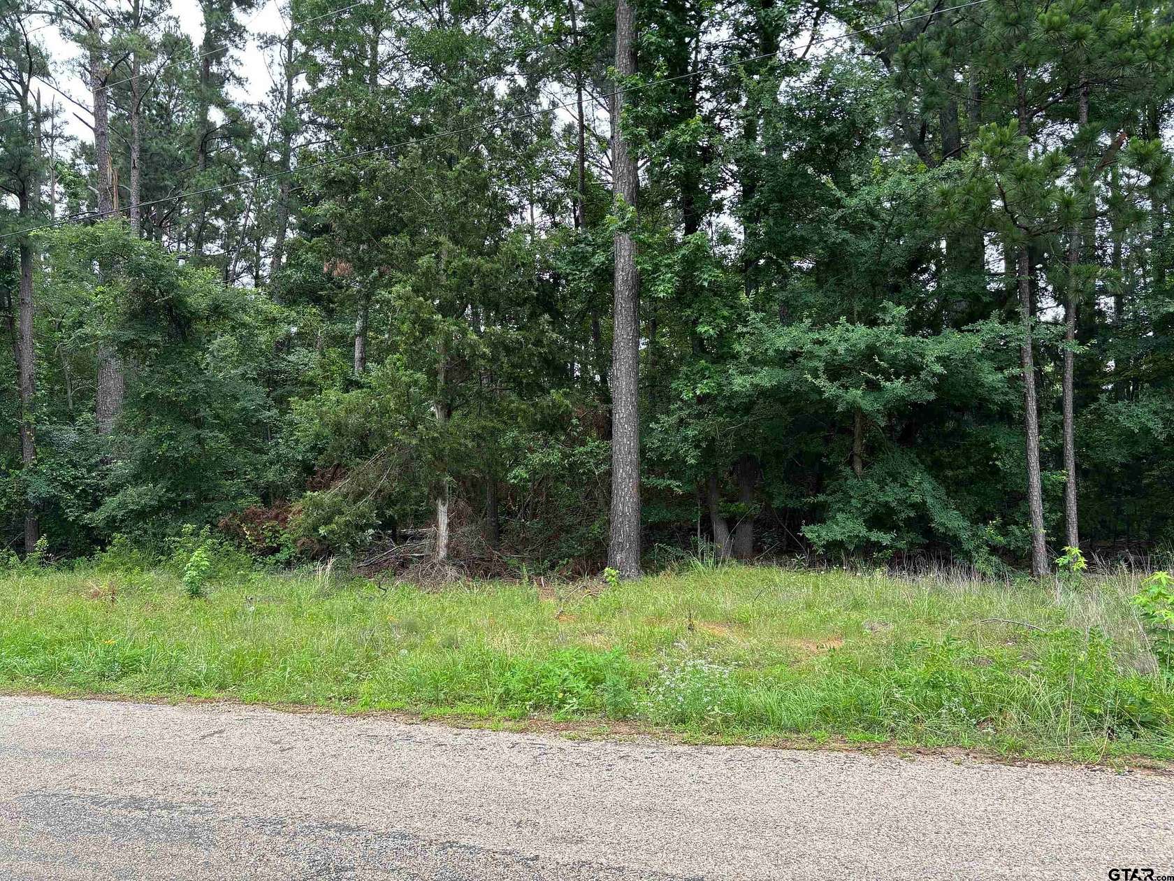 2 Acres of Residential Land for Sale in Pittsburg, Texas