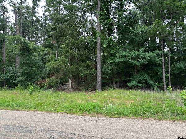 2 Acres of Residential Land for Sale in Pittsburg, Texas