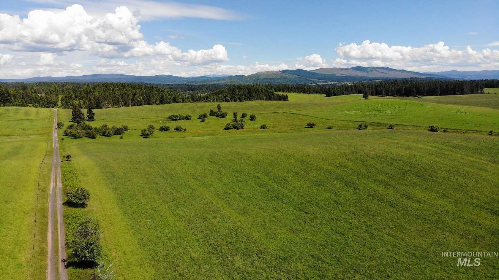 141 Acres of Land for Sale in Kamiah, Idaho