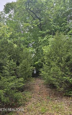 0.46 Acres of Land for Sale in New Tazewell, Tennessee