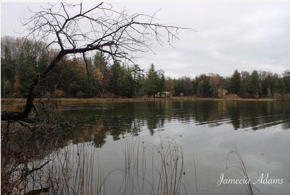 0.23 Acres of Residential Land for Sale in Idlewild, Michigan