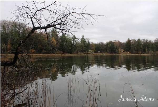 Residential Land for Sale in Idlewild, Michigan