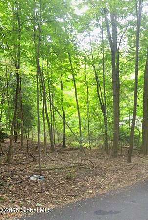 0.47 Acres of Land for Sale in Amsterdam, New York