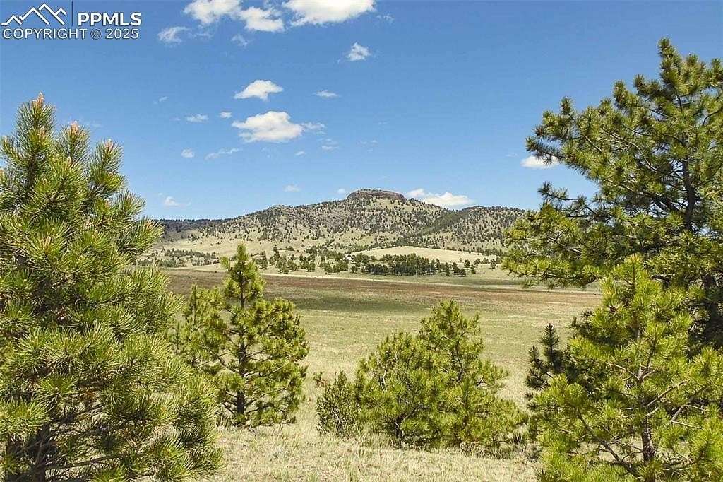 35 Acres of Recreational Land for Sale in Guffey, Colorado