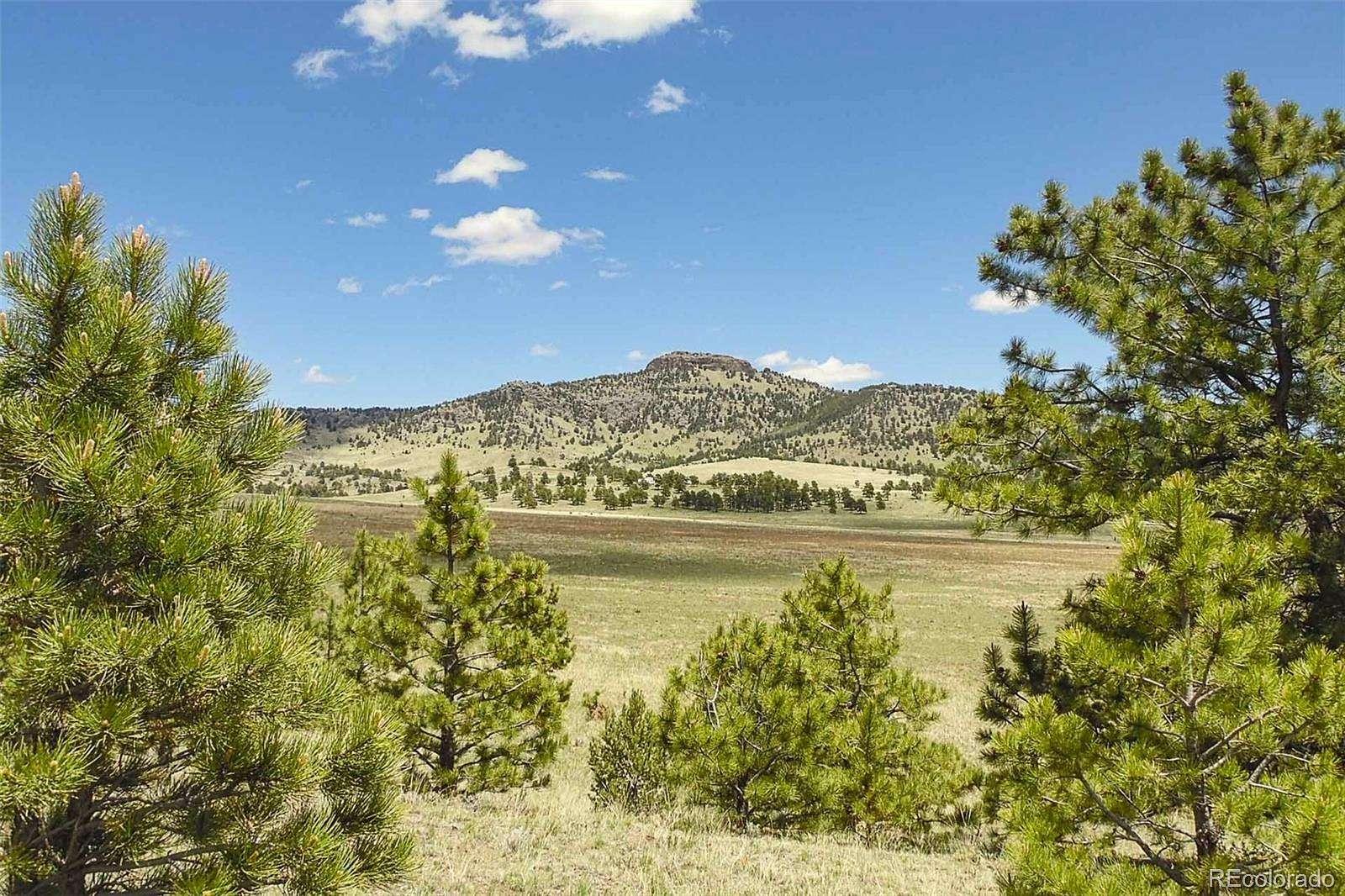 35 Acres of Land for Sale in Guffey, Colorado