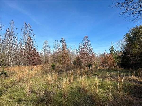 65 Acres of Recreational Land for Sale in Bogata, Texas