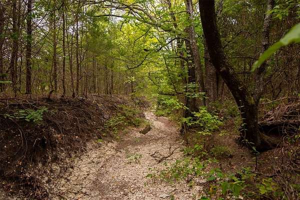 30 Acres of Agricultural Land for Sale in Trenton, Texas